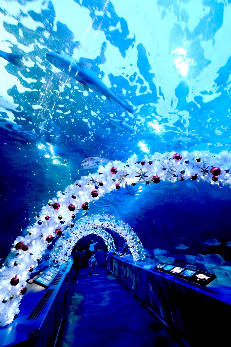 しながわ水族館